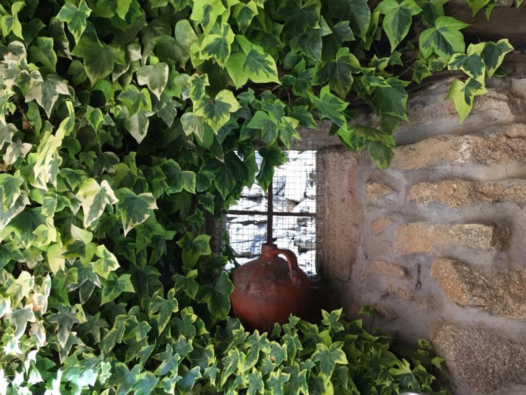 El Capricho De Ana Βίλα Neila de San Miguel Εξωτερικό φωτογραφία